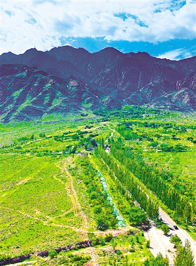     綠色——賀蘭山，寧夏的父親山。隨著近年來賀蘭山生態(tài)保衛(wèi)戰(zhàn)的打響，賀蘭山生態(tài)逐步恢復，是寧夏踐行“綠水青山就是金山銀山”理念的生動寫照。     本報記者 馬楠 攝