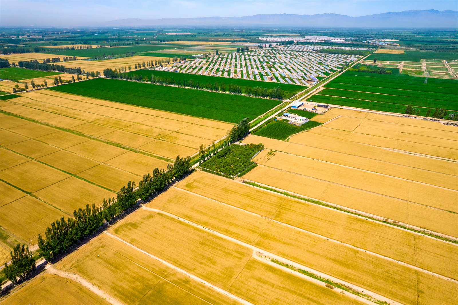 短視頻：探訪寧夏原糧儲備生產基地：保障糧食安全 助力鄉(xiāng)村振興